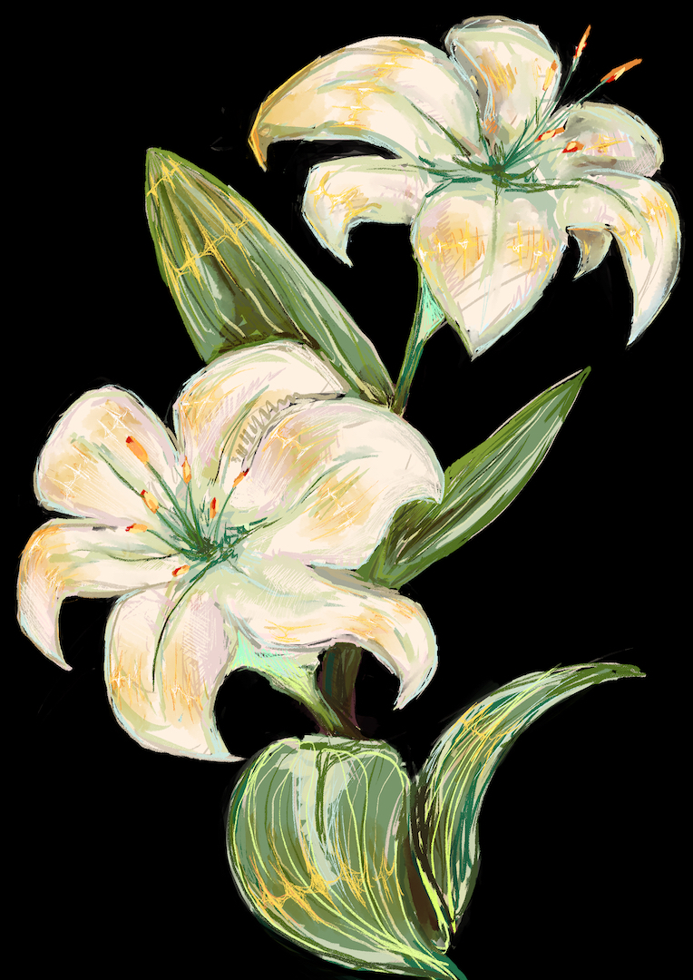 Lena-Mozolewska-kwiatki-cecillie